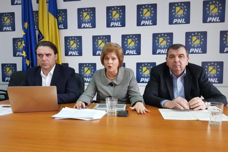 Parlamentarii PNL spun că Ioan Mang ar trebui să aducă 'bani de acasă' dacă Sala Polivalentă din Oradea nu va fi finanţată