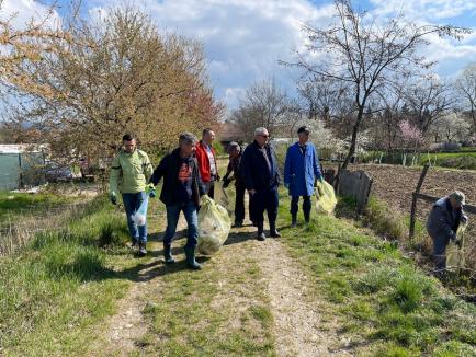 Curățăm Aleșdul! Angajați din mai multe instituții bihorene au adunat gunoaiele de pe o vale din oraș (FOTO)