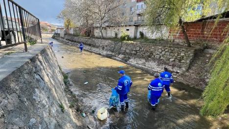 Curățăm Aleșdul! Angajați din mai multe instituții bihorene au adunat gunoaiele de pe o vale din oraș (FOTO)