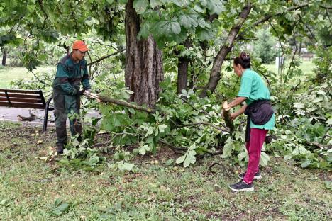 Atenţie la traversarea parcurilor! Primăria Oradea recomandă evitarea locurilor afectate de furtună, pentru că există încă riscul prăbuşirii de crengi sau copaci