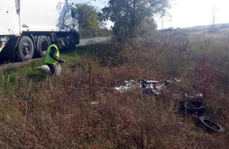 Curăţenie pe marginea drumurilor judeţene din Bihor. Gunoaiele adunate vor fi reciclate (FOTO)