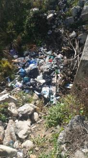 Curăţenie pe marginea drumurilor judeţene din Bihor. Gunoaiele adunate vor fi reciclate (FOTO)