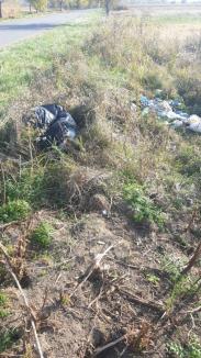 Curăţenie pe marginea drumurilor judeţene din Bihor. Gunoaiele adunate vor fi reciclate (FOTO)