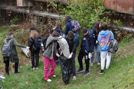 S-au plimbat și au făcut curat! Peste 300 de voluntari au adunat gunoaiele de pe malurile Crișului, în Oradea (FOTO)
