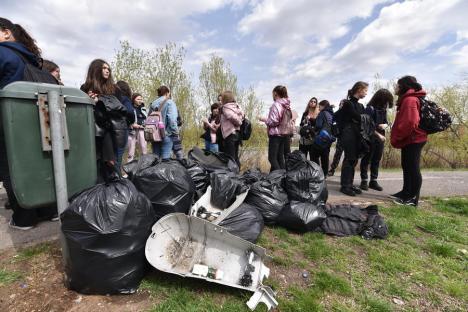 S-au plimbat și au făcut curat! Peste 300 de voluntari au adunat gunoaiele de pe malurile Crișului, în Oradea (FOTO)