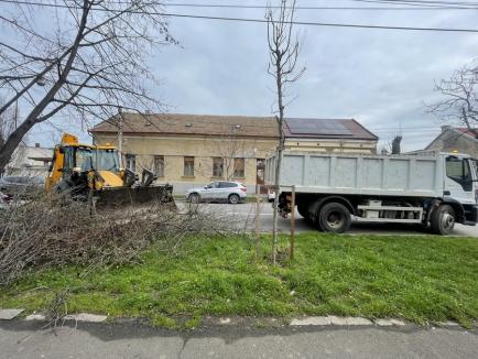 Curățenia de primăvară din Oradea a ajuns la final. Câte gunoaie s-au adunat