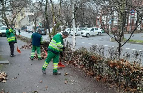 Curățenie de primăvară, în Oradea: Cartierele din care se mai ridică deșeurile vegetale