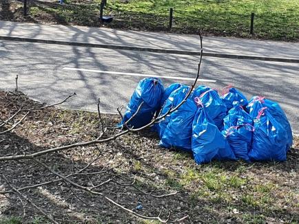 Curăţenie în râurile din Bihor, de Ziua Mondială a Apei: Peste 55 de metri cubi de gunoaie adunate (FOTO)