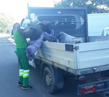 Puşi de Poliţia Locală, oamenii străzii au adunat două tone de gunoaie de pe malul Crişului Repede (FOTO)