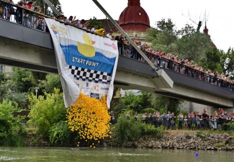 Cursa mac-mac. 4.000 de rățuște din cauciuc s-au „întrecut” pe Crișul Repede, în Oradea, încurajate de o mulțime de oameni (FOTO/VIDEO)