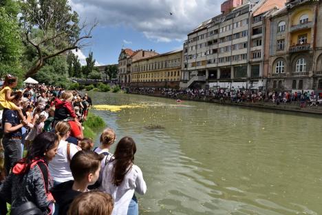 Cursa mac-mac. 4.000 de rățuște din cauciuc s-au „întrecut” pe Crișul Repede, în Oradea, încurajate de o mulțime de oameni (FOTO/VIDEO)