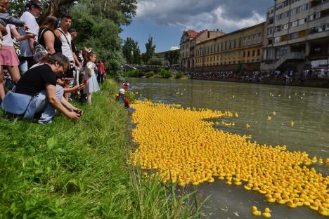 Cursa mac-mac. 4.000 de rățuște din cauciuc s-au „întrecut” pe Crișul Repede, în Oradea, încurajate de o mulțime de oameni (FOTO/VIDEO)