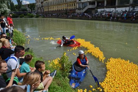 Cursa mac-mac. 4.000 de rățuște din cauciuc s-au „întrecut” pe Crișul Repede, în Oradea, încurajate de o mulțime de oameni (FOTO/VIDEO)