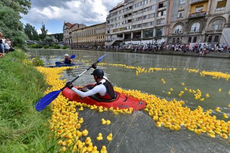 Cursa mac-mac. 4.000 de rățuște din cauciuc s-au „întrecut” pe Crișul Repede, în Oradea, încurajate de o mulțime de oameni (FOTO/VIDEO)