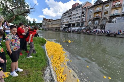 Cursa mac-mac. 4.000 de rățuște din cauciuc s-au „întrecut” pe Crișul Repede, în Oradea, încurajate de o mulțime de oameni (FOTO/VIDEO)