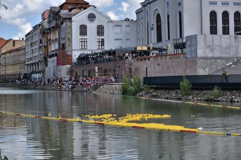 Cursa mac-mac. 4.000 de rățuște din cauciuc s-au „întrecut” pe Crișul Repede, în Oradea, încurajate de o mulțime de oameni (FOTO/VIDEO)