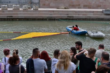 Cursa mac-mac. 4.000 de rățuște din cauciuc s-au „întrecut” pe Crișul Repede, în Oradea, încurajate de o mulțime de oameni (FOTO/VIDEO)