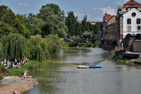 Cursa mac-mac. 4.000 de rățuște din cauciuc s-au „întrecut” pe Crișul Repede, în Oradea, încurajate de o mulțime de oameni (FOTO/VIDEO)