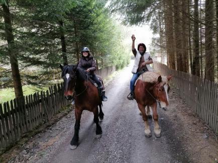 Pe cai! A reînceput sezonul ieșirilor călare în natură. Unde poți face echitație în Bihor? (FOTO/VIDEO)