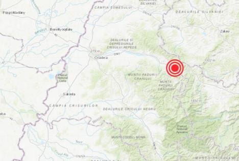 Un cutremur cu epicentrul în Bihor a avut loc duminică dimineață