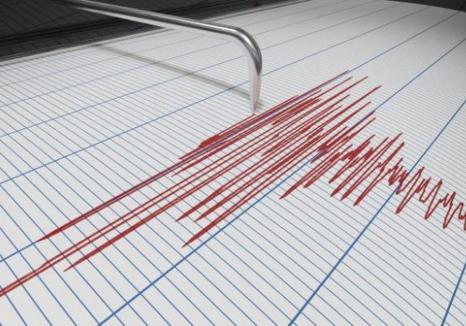 Un nou cutremur resimțit și în Bihor: „Au tremurat ghivecele pe pervaz” (VIDEO)
