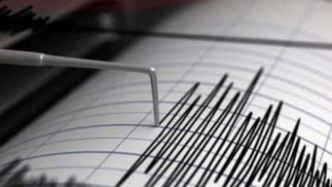 Cutremur de 5,2 pe scara Richter în Gorj. S-a resimțit și în Bihor