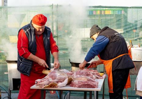 Festivalul „D’ale Porcului” din Oradea: Se anunță o ediţie specială cu... politicieni (FOTO)