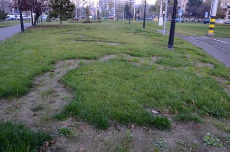 Atac la gazon: Un vandal a aruncat cu ierbicid peste iarba din scuaruri (FOTO)