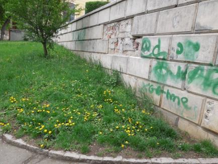 Verde înnourat: Ce urmăreşte Episcopia Romano-Catolică prin atacul la Bolojan (FOTO)