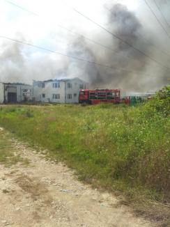 Incendiu de proporţii la fabrica de ciocolată din Beiuş. Focul a distrus utilaje de 1,5 milioane euro (FOTO)