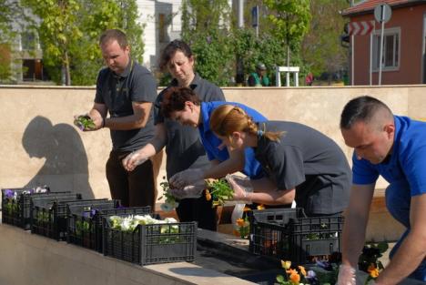 Dealul panseluţelor: Sute de flori plantate de copii lângă fântâna Companiei de Apă (FOTO)