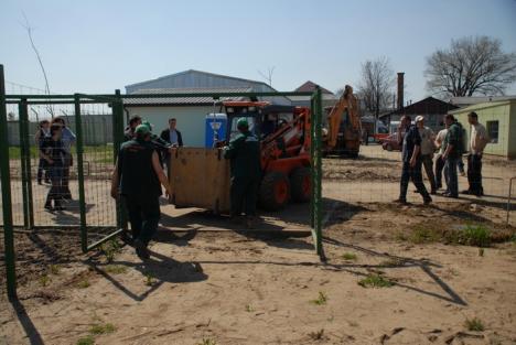 Primele animale noi la Zoo au sosit din Nyiregyhaza (FOTO)