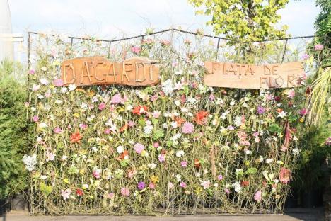 Marţi seară, la Dacardi Oradea, aranjamentele florale s-au transformat în adevărate opere de artă! (FOTO / VIDEO)