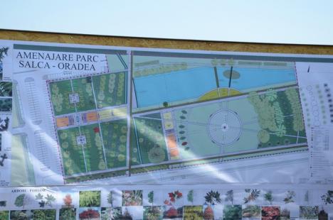 Floarea din mlaştină: A început amenajarea parcului Salca, cu labirint verde şi lac artificial (FOTO)