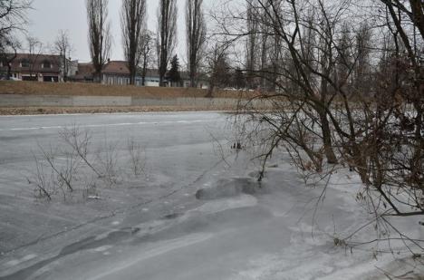Crişul Repede a îngheţat, la fel ca toate râurile din judeţ (FOTO)