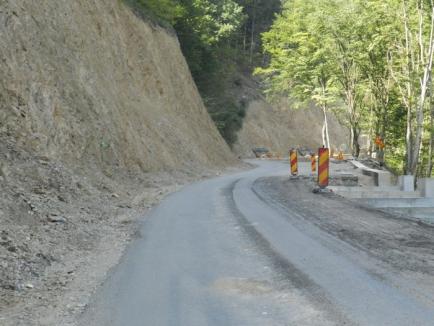 Drum bun, pentru Udrea! Singurul drum din Bihor pe care se lucrează e cel ce duce spre staţiunea Elenei Udrea (FOTO)