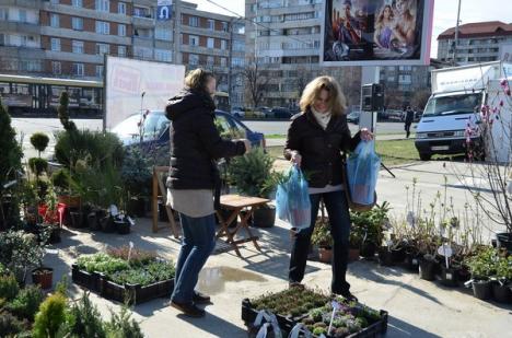 Cele mai noi tendinţe de amenajare de grădini şi terase, la Lotus Center (FOTO) 