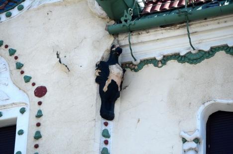 Vultur de Marconst: Pasajul Vulturul Negru va fi redeschis cu întârziere şi cu probleme (FOTO)