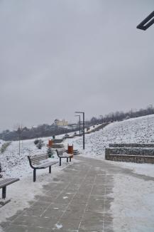 Orădenii ies la plimbare pe dealul Ciuperca, acoperit de zăpadă (FOTO/VIDEO)