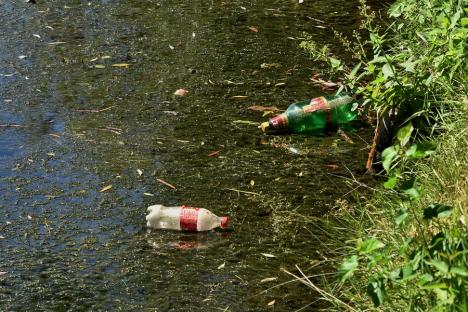 Ne enervează: Debitul scăzut al Crișului dezvăluie gunoaiele din apă (FOTO)