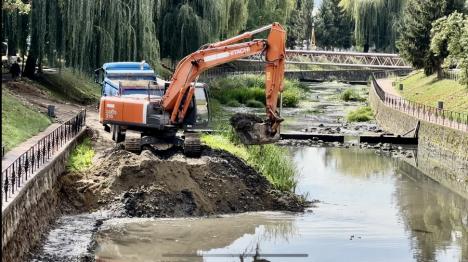 Pregătiri împotriva inundațiilor: ABA decolmatează valea Nimăiești, în Beiuș (FOTO/VIDEO)