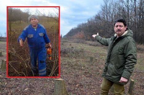 Drujbaşii Bihorului: Primarul din Săcuieni, Béres Csaba, a fost prins tăind copaci dintr-o arie naturală protejată (FOTO)