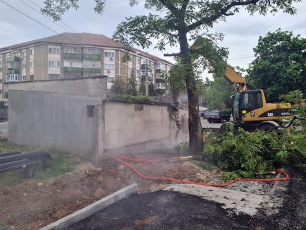 Altele la rând! Garajele din beton de pe strada Fagului au fost demolate (FOTO / VIDEO)