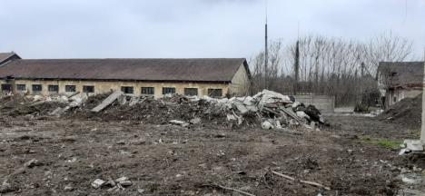 Primăria Oradea demolează barăcile grănicerilor pentru a face loc viitorului spital de infecţioase (FOTO)