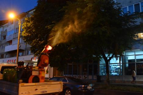„Ceața caldă”, folosită în premieră în Oradea pentru stârpirea ţânţarilor şi altor insecte (FOTO / VIDEO)