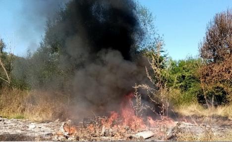 Trei depozite ilegale de rable, depistate de comisarii de mediu în Bihor. Un „afacerist” ardea banchetele din maşini la marginea unei păduri (FOTO)