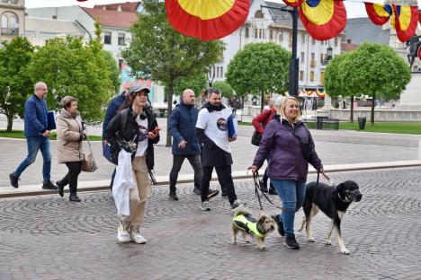 Pentru Grivei: Zeci de orădeni s-au dus cu animalele de companie la Primăria Oradea și au depus listele cu 15.000 de semnături pentru condiții mai bune la adăpostul de câini (FOTO)