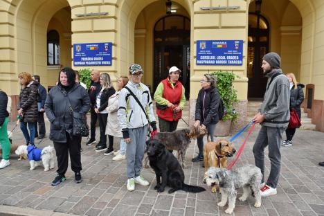 Pentru Grivei: Zeci de orădeni s-au dus cu animalele de companie la Primăria Oradea și au depus listele cu 15.000 de semnături pentru condiții mai bune la adăpostul de câini (FOTO)