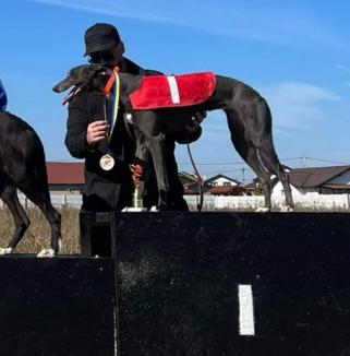 Doi câini antrenați lângă Oradea au primit medalii la derby-ul de ogari de la Budapesta