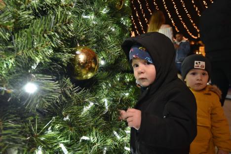 În aşteptarea Crăciunului: Cum a fost împodobit centrul Oradiei și ce poți găsi la târgul din Piaţa Unirii (FOTO/VIDEO)